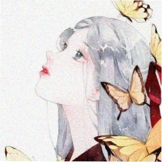 读者祁迟头像